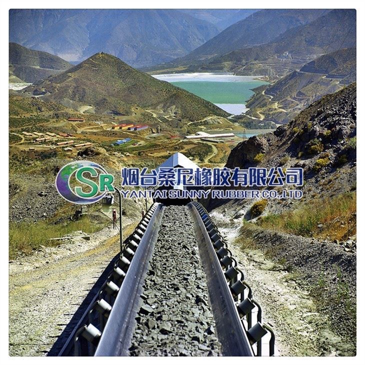 rubber-and-steel-cord-conveyor-belt23333396818