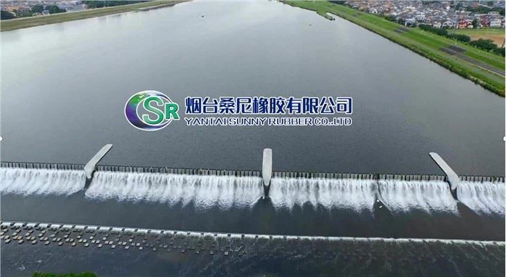 Schilddammsystem mit Luftblase